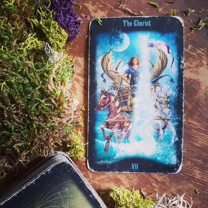 Tarot Readings