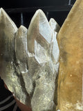 Dragon Scale Calcite