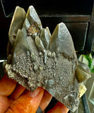 Dragon Scale Calcite