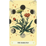 Herbana Witch Oracle