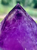 Australian Amethyst