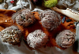 Rose of Jericho