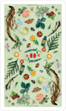 Herbcrafters Tarot