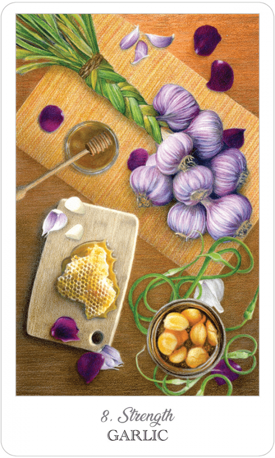 【超希少】Herbal and Spiced Culinary Tarot Herbcrafters Tarot – Witch Pirate