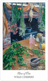 Herbcrafters Tarot